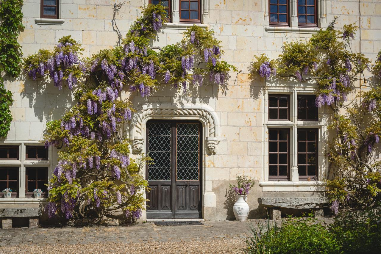 Le Manoir De La Baldette Bed & Breakfast Gennes-Val-de-Loire Bagian luar foto