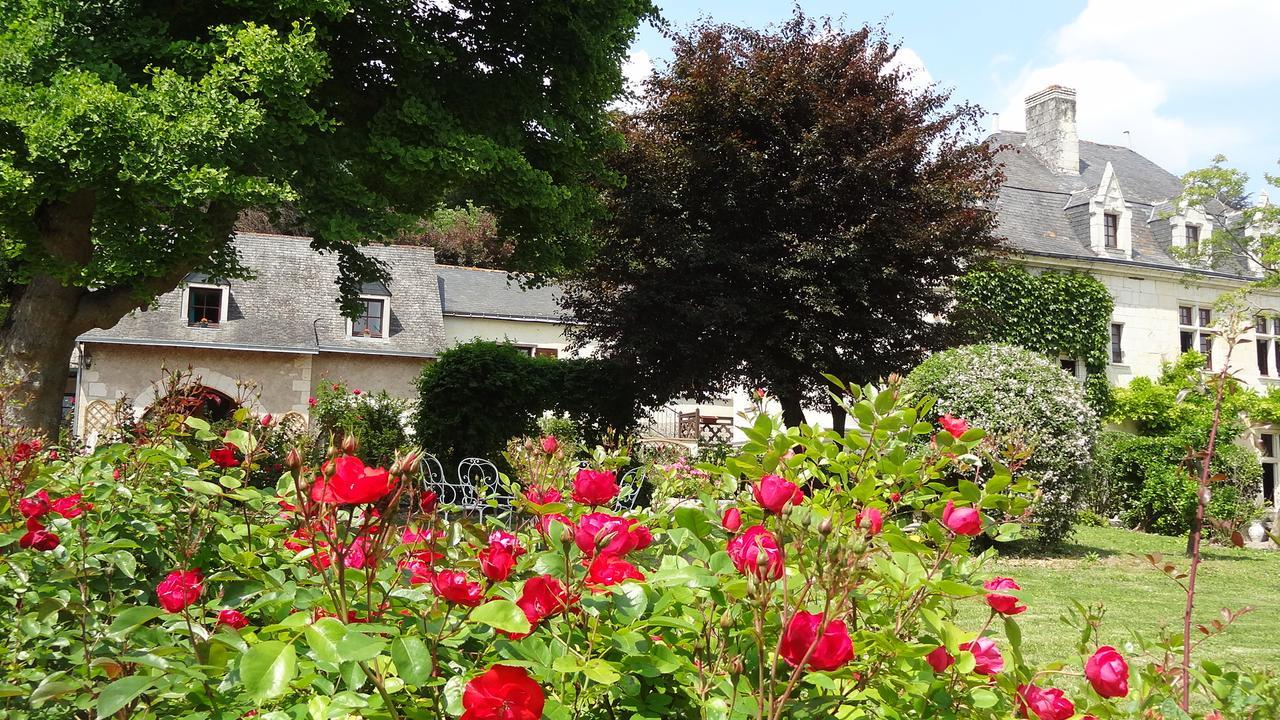 Le Manoir De La Baldette Bed & Breakfast Gennes-Val-de-Loire Bagian luar foto