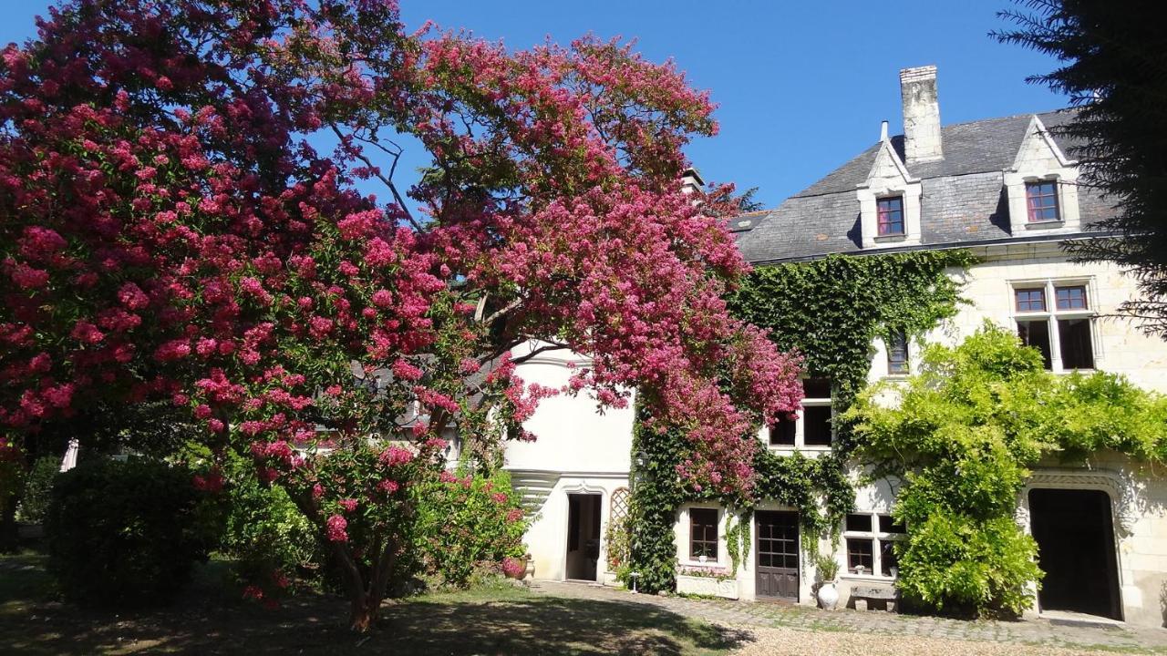 Le Manoir De La Baldette Bed & Breakfast Gennes-Val-de-Loire Bagian luar foto