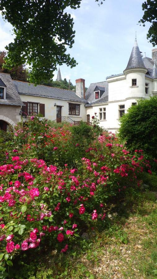 Le Manoir De La Baldette Bed & Breakfast Gennes-Val-de-Loire Bagian luar foto